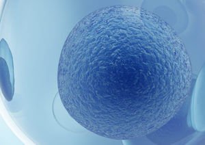 celulas madre tratamientos capilares