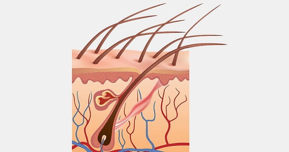 cambios hormonales efecto capilar