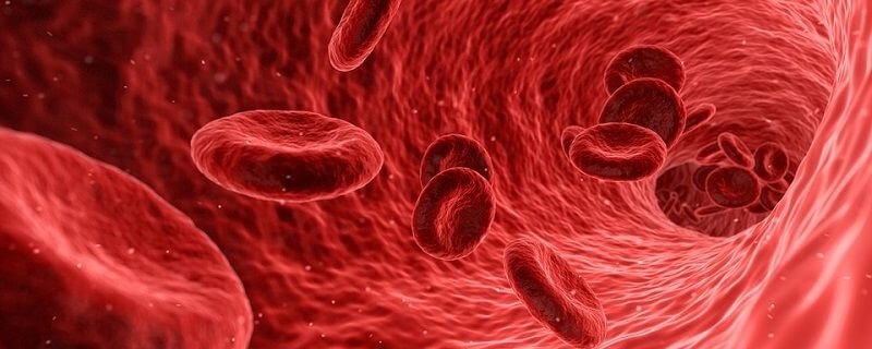 tratamiento prp mesoterapia capilar tratamiento prp mesoterapia capilar